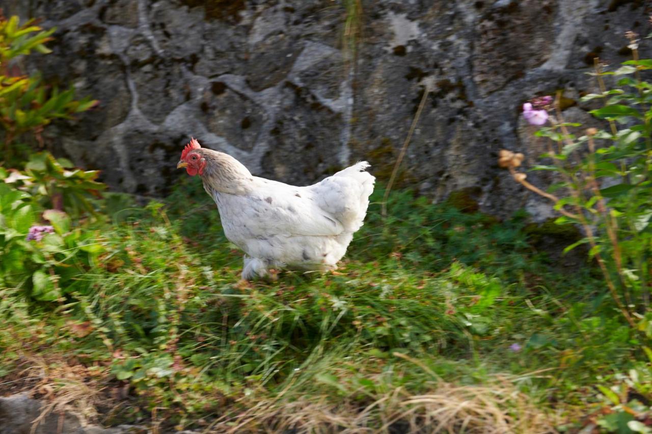 The Conscious Farmer Bed And Breakfast Sauerland Willingen  Kültér fotó