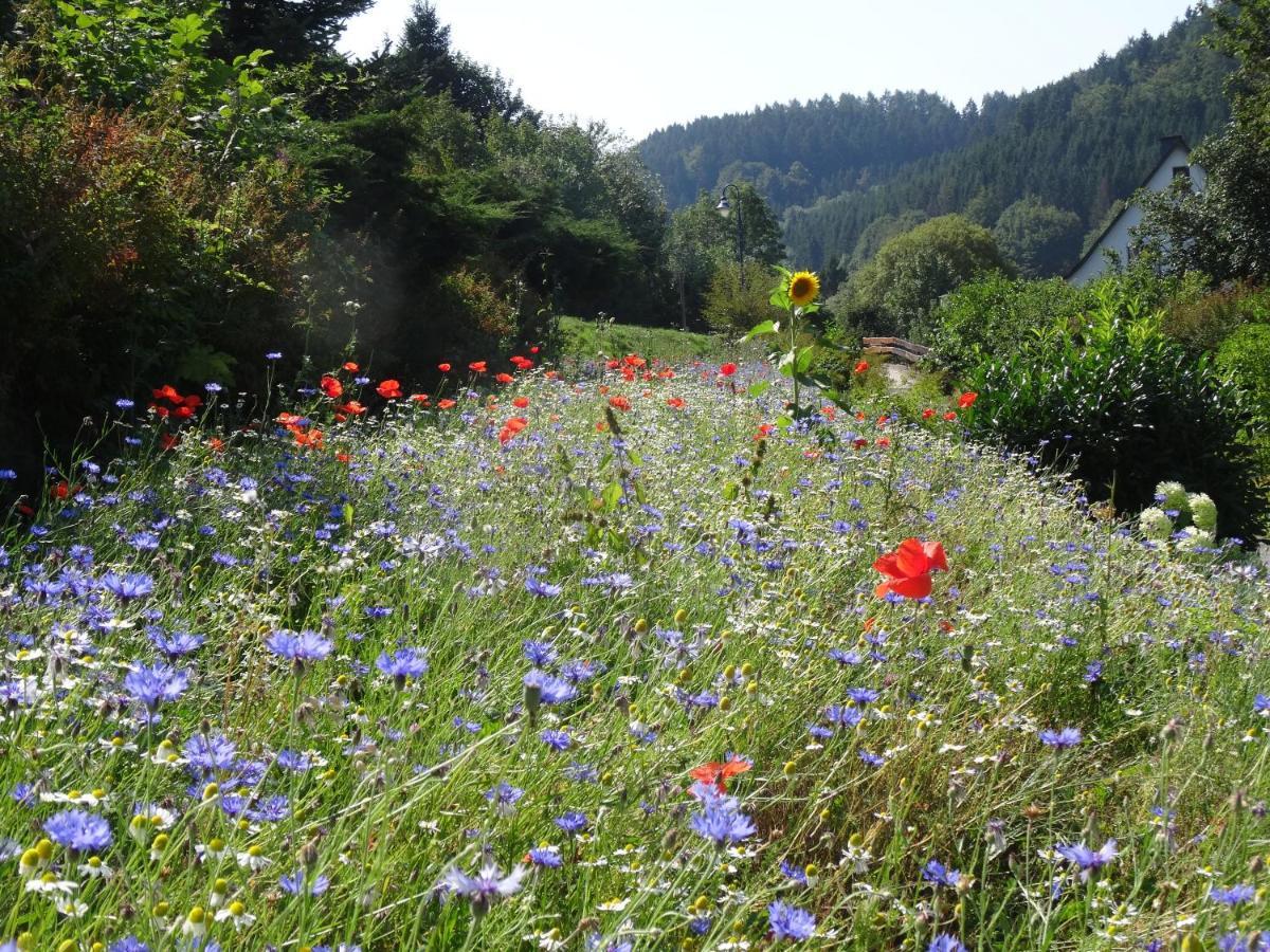 The Conscious Farmer Bed And Breakfast Sauerland Willingen  Kültér fotó